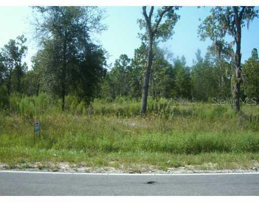 Sw 155th St., Dunnellon, FL 34432