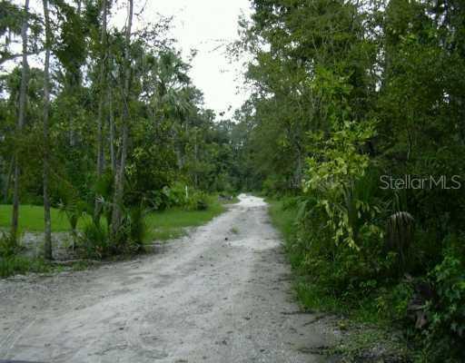 Alicia Ln., Oviedo, FL 32765