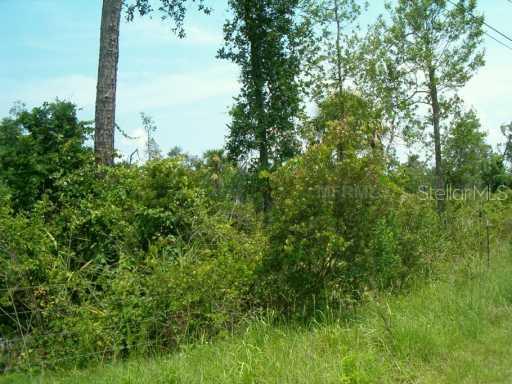 24457 Orange County Acres Tr., Orlando, FL 32820