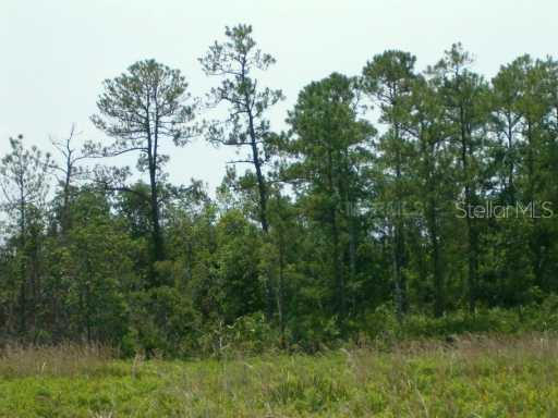 24100 Orange County Acres Tr., Orlando, FL 32820