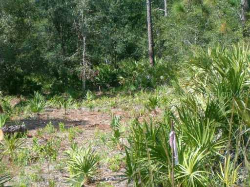 51 Dill Rd., Orlando, FL 32820