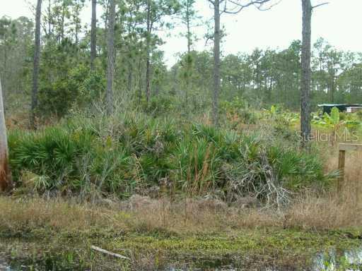 24226 Orange County Acres Tr., Orlando, FL 32820