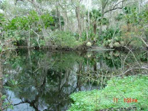 Miami Springs Drive, Longwood, FL 32779