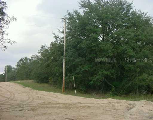 Arapaho Tr., Kissimmee, FL 34747