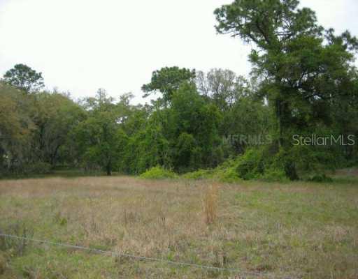 4729 Dundee Ave., De Leon Springs, FL 32130