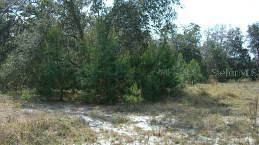 2540 Chuluota Rd., Chuluota, FL 32766