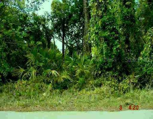 Briarcliffe St., Sanford, FL 32773