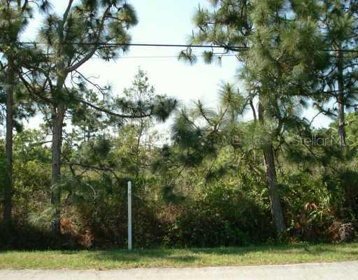 20502 Racine St. #3A, Orlando, FL 32833