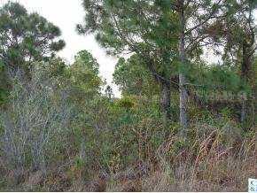 218 Se Cameron St., Palm Bay, FL 32909