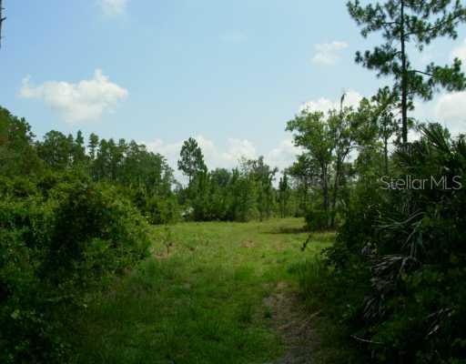 00 E Osceola Rd., Geneva, FL 32732