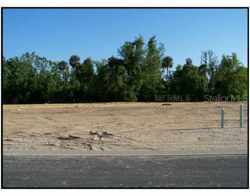 8180 Valhalla Ter., Reunion, FL 34747