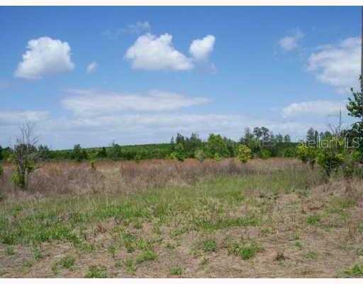 Palmento Way, Clermont, FL 34711