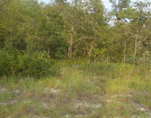 1458 Sarasota St., Kissimmee, FL 34759