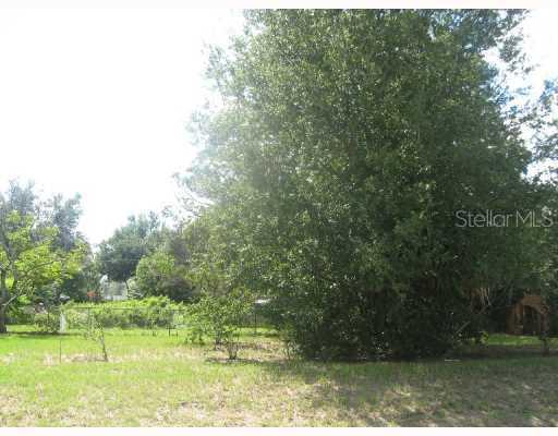 Orwood Rd., Orlando, FL 32810