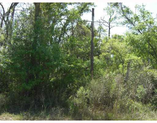 613 15th St., DeBary, FL 32713