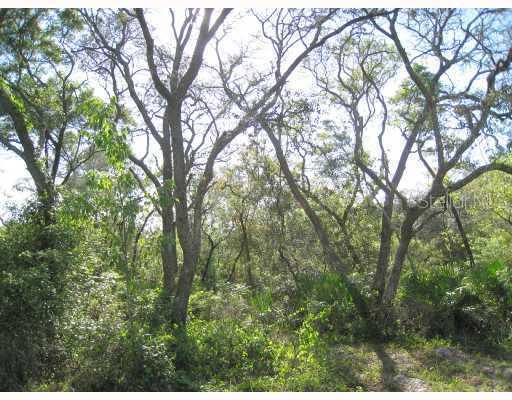 3124 N Covington Dr., Deltona, FL 32738