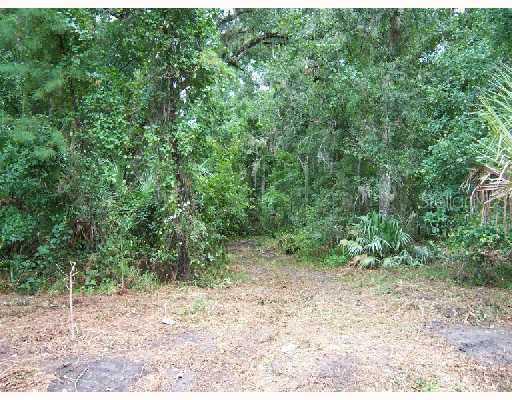 Walsh St., Oviedo, FL 32765