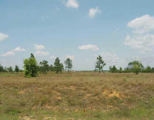 Vista Verde Dr., Montverde, FL 34756