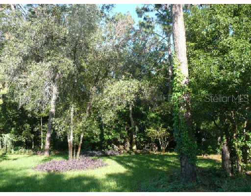 Sackamaxon Dr., Sorrento, FL 32776