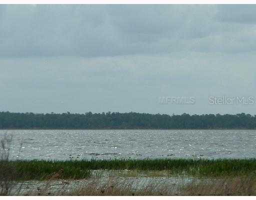 10315 Hart Branch Cir., Orlando, FL 32832