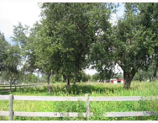 10815 Tyson Rd., Orlando, FL 32832