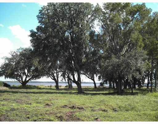 10339 Hart Branch Cir., Orlando, FL 32832