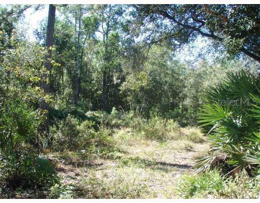 1460 Bob White Tr., Chuluota, FL 32766