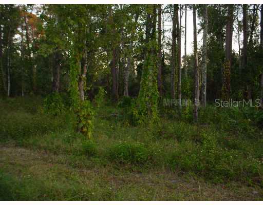 Hill Top Dr., Longwood, FL 32750
