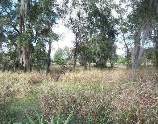 N Stone St., DeLand, FL 32720