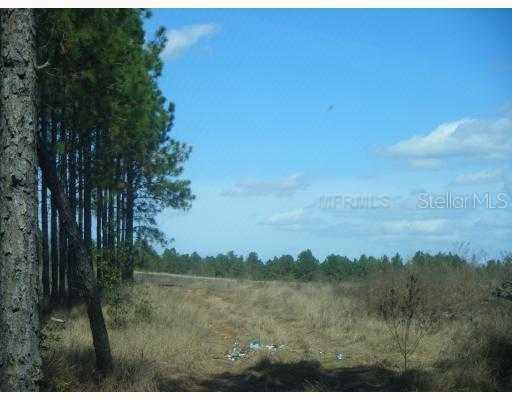 Fosgate Rd., Montverde, FL 34756