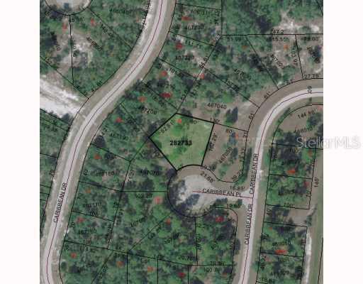 Caribbean, Kissimmee, FL 34759