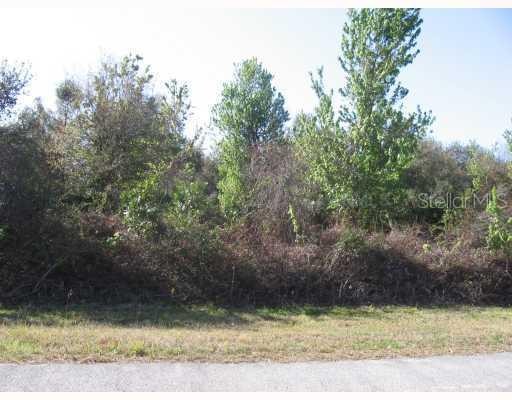 159 Sparrow Ct., Poinciana, FL 34759