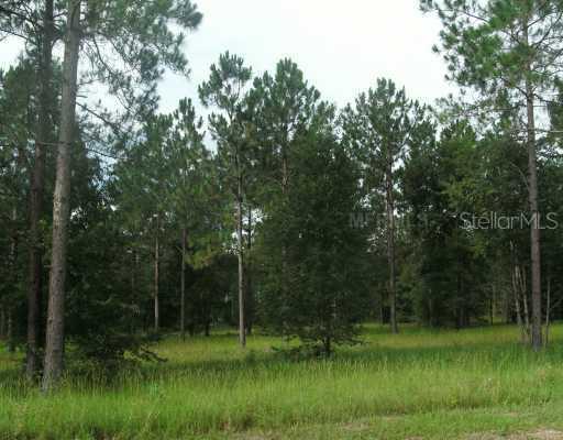 Deep Springs Loop, Eustis, FL 32736