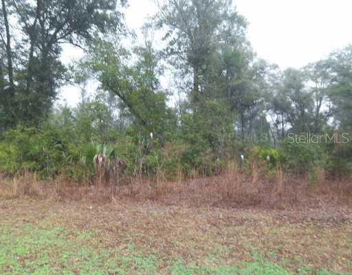 [Address Hidden by Seller], Deland, FL 32724