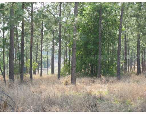 16917 Crete Way, Montverde, FL 34756