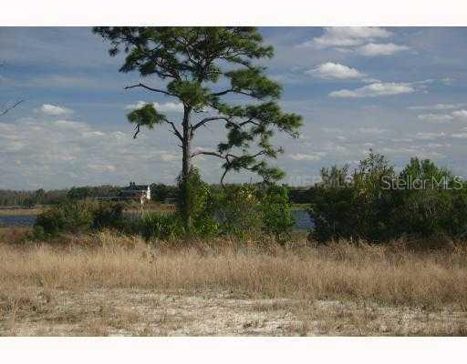 7203 Wild Blackberry Tr., Winter Garden, FL 34787