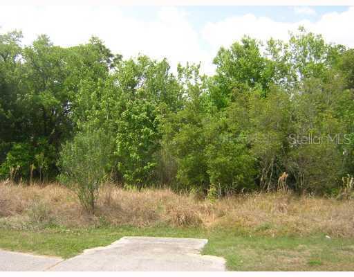 1412 Teal Dr., Poinciana, FL 34759