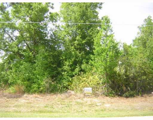 Gazelle Dr., Kissimmee, FL 34759