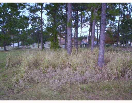[Address Hidden by Seller], Clermont, FL 34711
