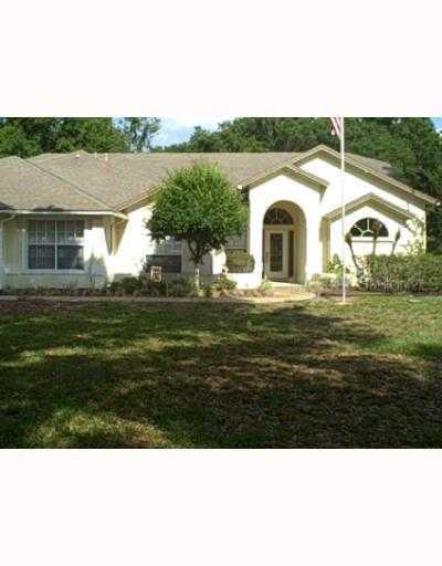 806 Brooker Village Creek, Lutz, FL 33548