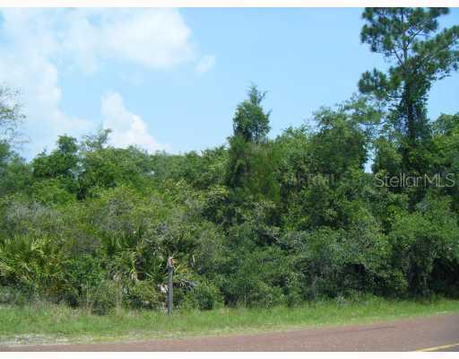 State Road 40, Astor, FL 32102
