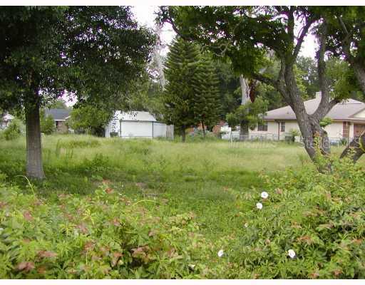 237 S Bluford Ave., Ocoee, FL 34761