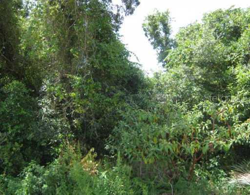 [Address Hidden by Seller], Deltona, FL 32725