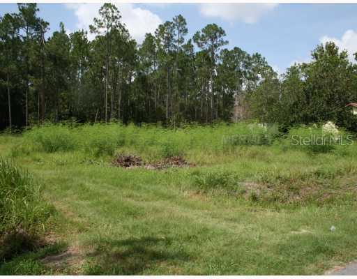 14422 Fresno Dr., Orlando, FL 32832