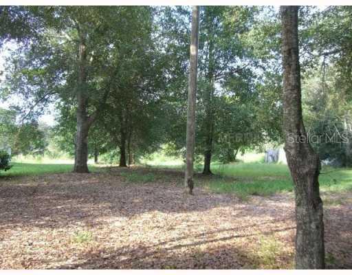 Lot 105 Lochmore Cir., Sorrento, FL 32776