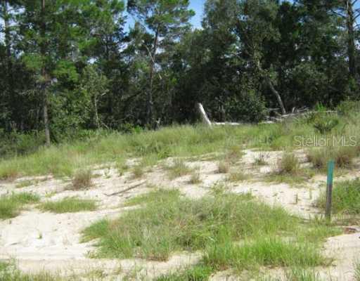 [Address Hidden by Seller], Poinciana, FL 34759