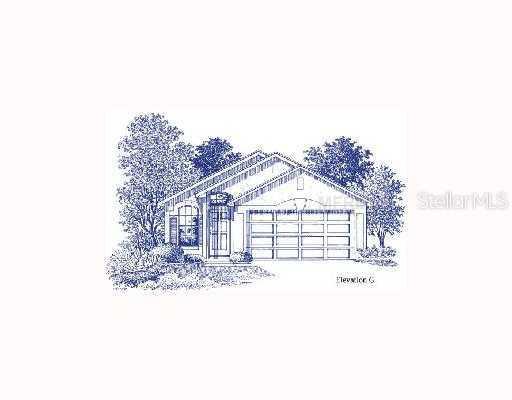 17003 Lixberry Way, Land O Lakes, FL 34638