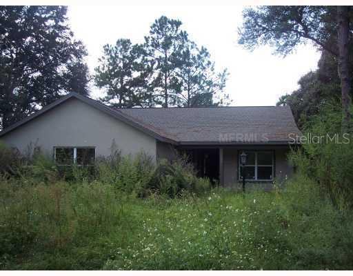 191 Guava Terrace, Ocklawaha, FL 32179