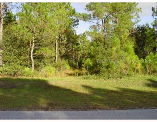 Lucky World Drive Lot 41, Davenport, FL 33897