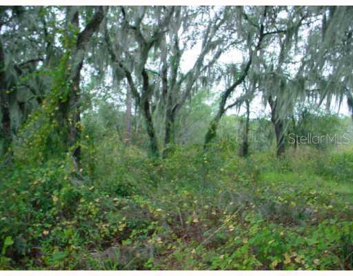 [Address Hidden by Seller], Winter Garden, FL 34787